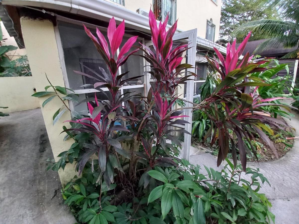 Roatan Backpackers' Hostel Sandy Bay Exterior photo