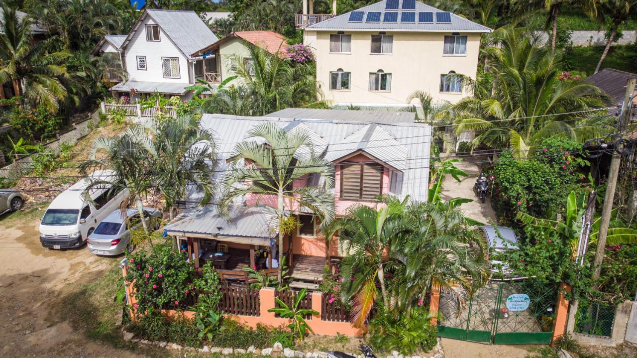 Roatan Backpackers' Hostel Sandy Bay Exterior photo